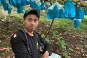 インドネシア人材ディディットさん、特定技能2号（農業）に合格・移行されました！